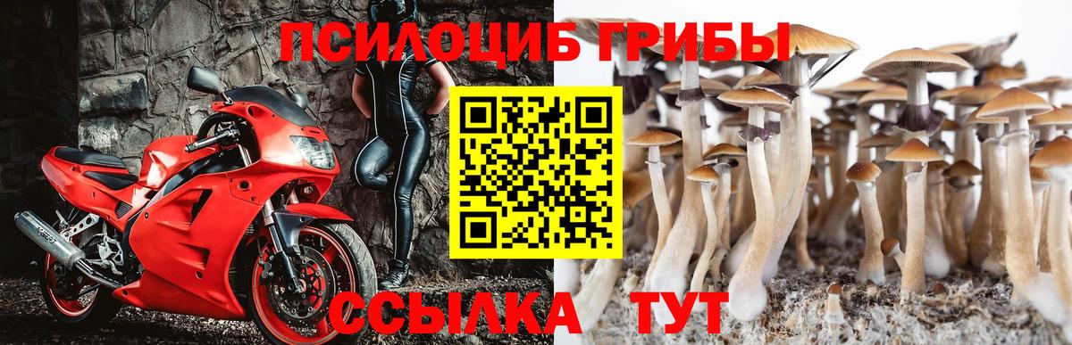 цена   Псилоцибиновые грибы Magic Shrooms  Вход с VPN  Галлюциногенные грибы мицелий  Сертолово 