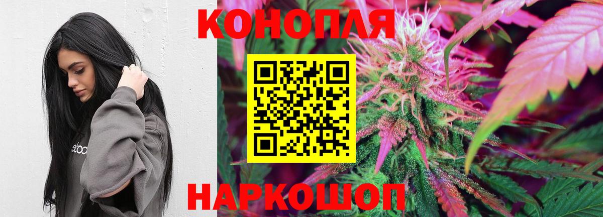 Каннабис план Сертолово